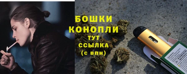 первитин Заводоуковск