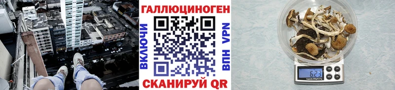 Купить закладки  Ухта  Галлюциногенные грибы Psilocybine cubensis 